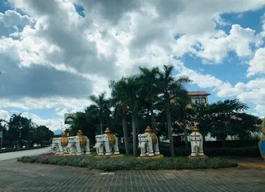 可以分享一些你親手拍攝的自然美景高清原圖并說(shuō)說(shuō)你是如何拍攝的嗎？