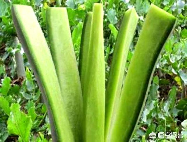 冬天吃什么水果比較好呢？